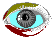 Eye with Diamagnetic Molecules that Rotate in a Static Magnetic Field