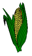 Cob