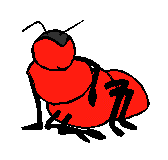 Big Red Bug